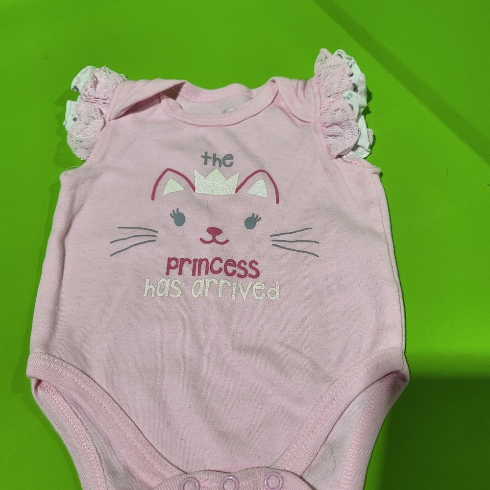 DDS DARLINGS SHORT SLEEVE pink The Princess Kitty Has Arrived oneies
